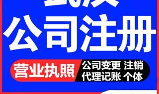 在武汉东湖高新区注册公司的流程是什么需要哪些手续